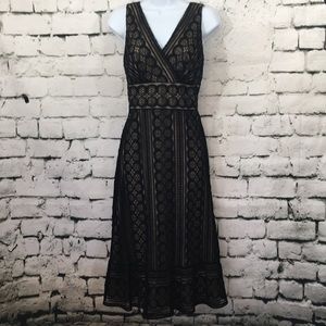 Ann Taylor Loft gorgeous lace dress